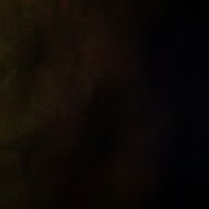 Meet your Posher, Ross